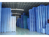 塑料托盤倉(cāng)庫